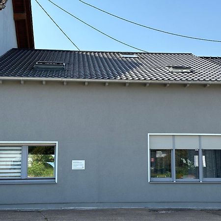 Grosse Ferienwohnung Gaestehaus Neubau Merzig 120M2 Zewnętrze zdjęcie